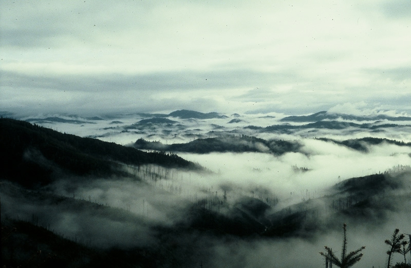 fog_over_mountains